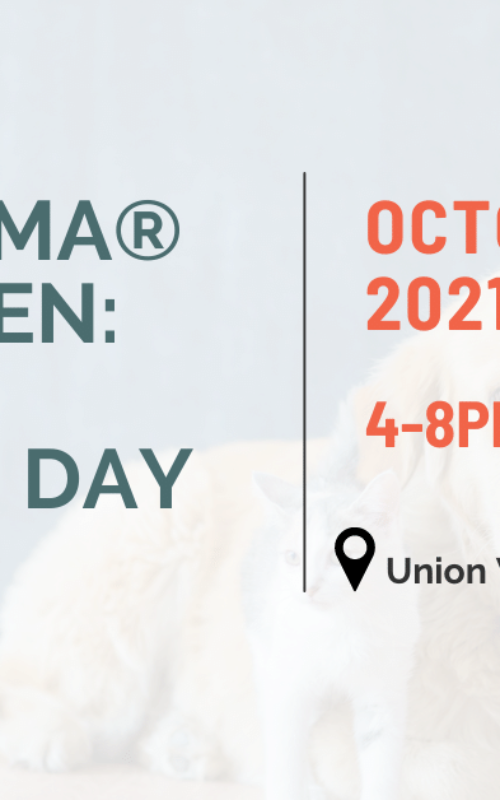 Homearama® 2021 is Open On October 13